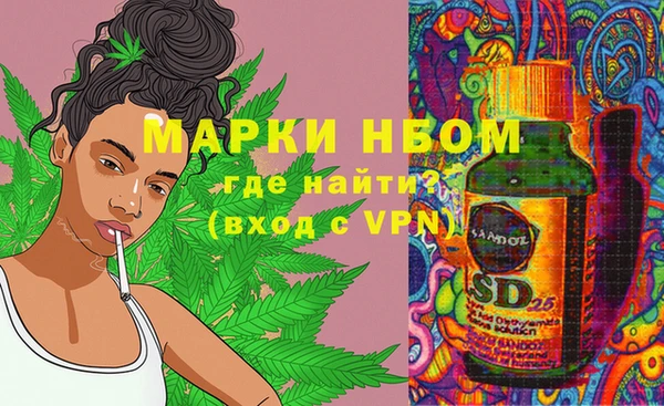 прущие грибы Бугульма