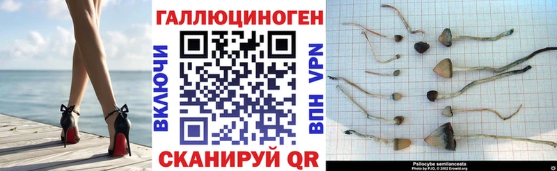 Галлюциногенные грибы MAGIC MUSHROOMS Электроугли